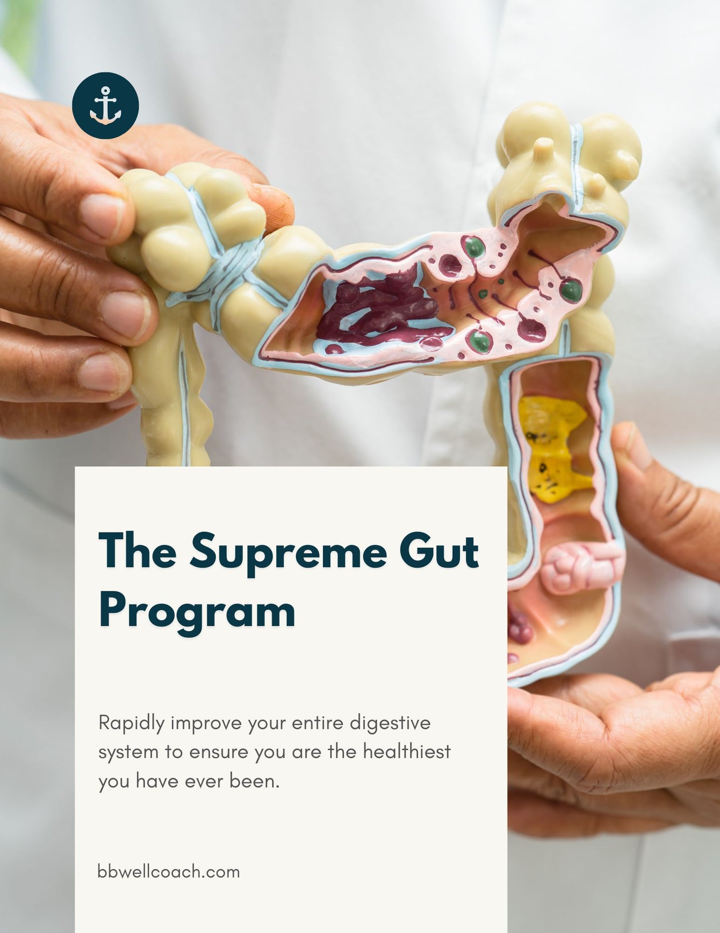 The Supreme Gut Program