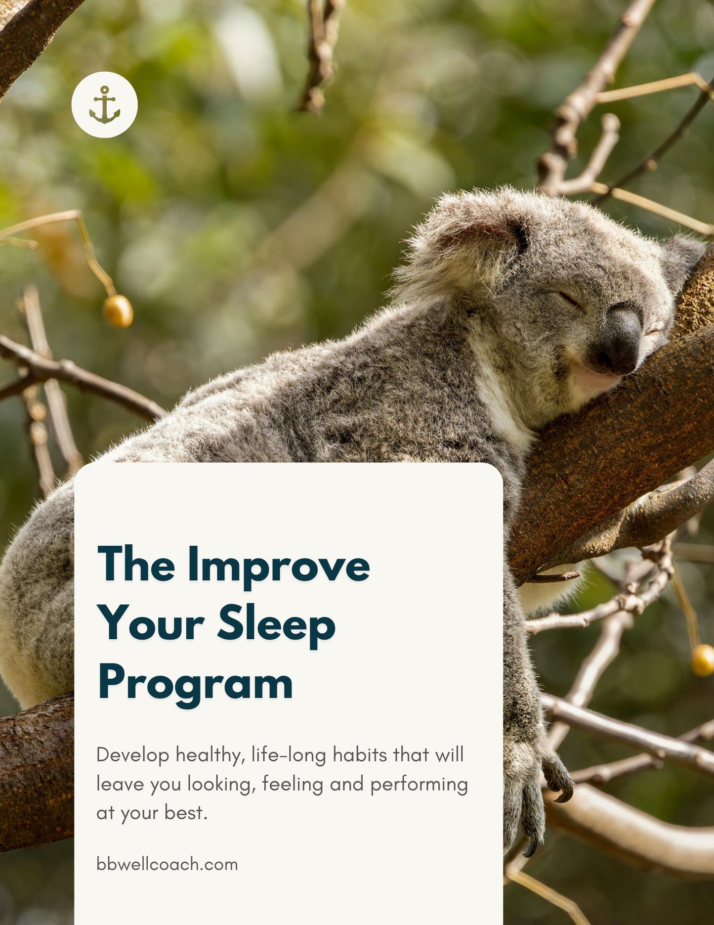 Improve Your Sleep Program
